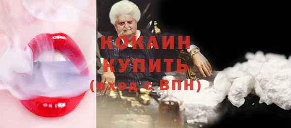 МДПВ Пересвет