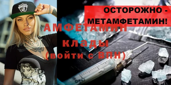 МДПВ Пересвет
