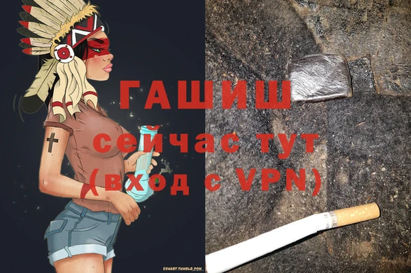 a pvp Няндома
